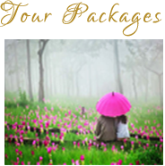 Tour Packages - Kodai Travels